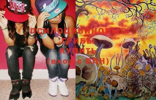 ГАЛЛЮЦИНОГЕННЫЕ ГРИБЫ Снежногорск